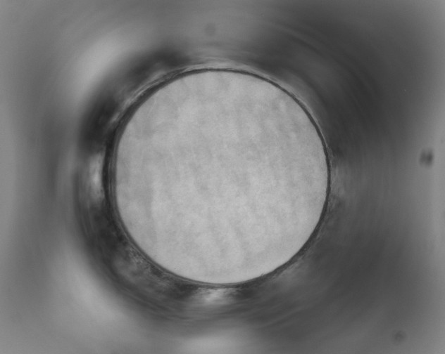 X0000111051150200906251427