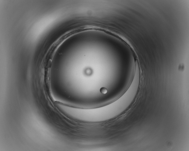 X0000111051151200906251427