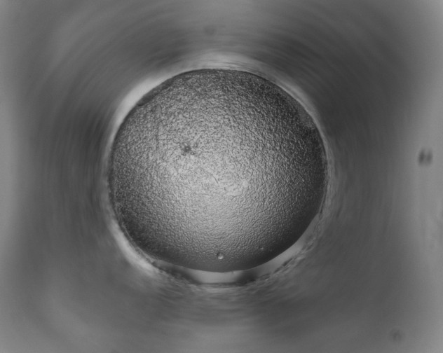 X0000111051152200906251427
