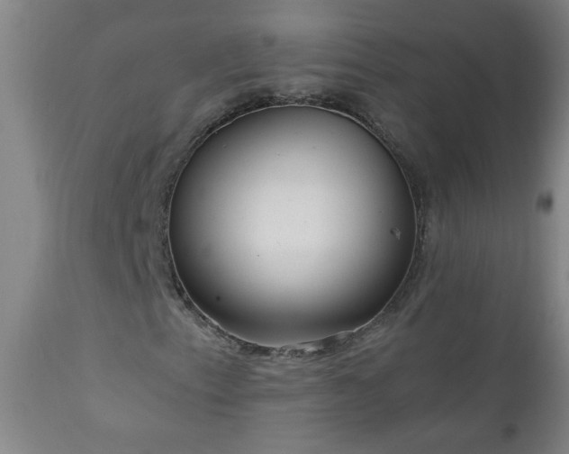 X0000111051153200906251426