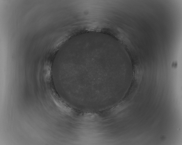 X0000111051154200906251426