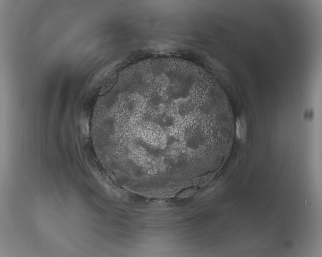 X0000111051155200906251426