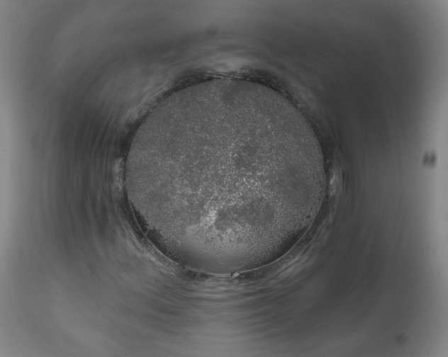 X0000111051156200906251426