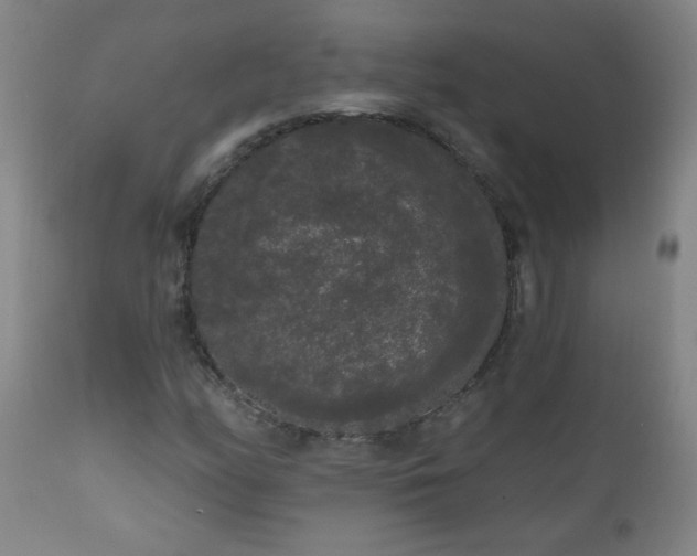 X0000111051158200906251426