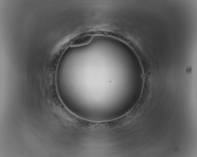 X0000111051159200906251426