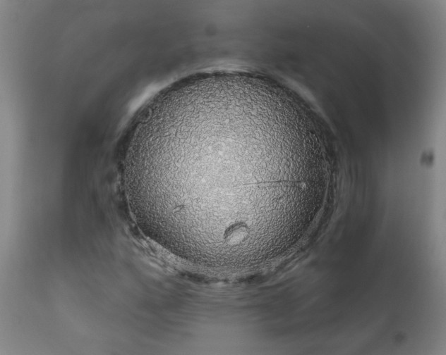 X0000111051160200906251426