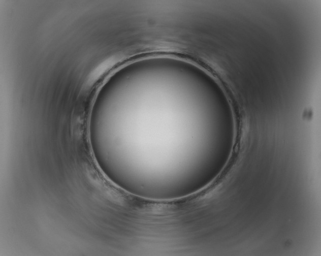 X0000111051163200906251426