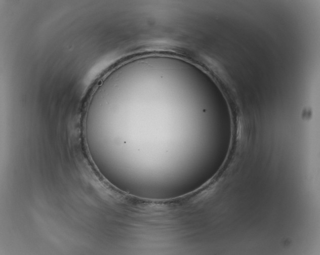 X0000111051164200906251426