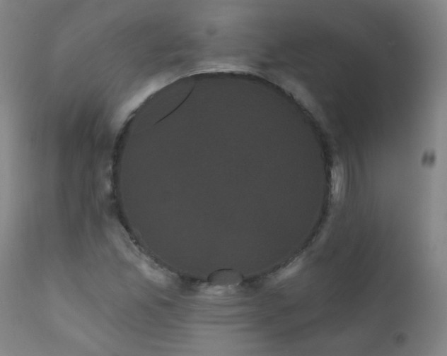 X0000111051165200906251426
