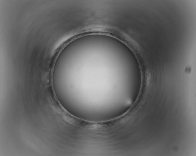 X0000111051166200906251426