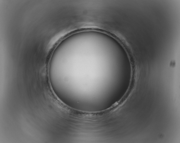 X0000111051167200906251426
