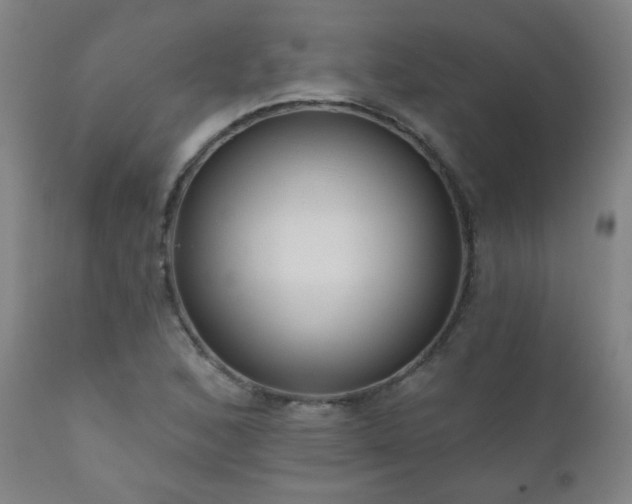 X0000111051168200906251426