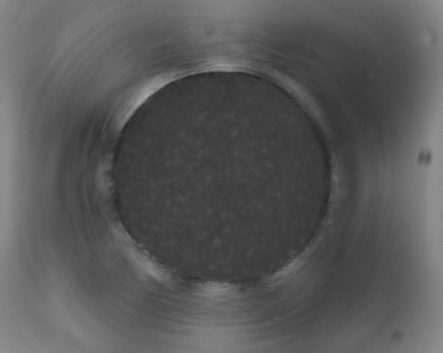 X0000111051170200906251426