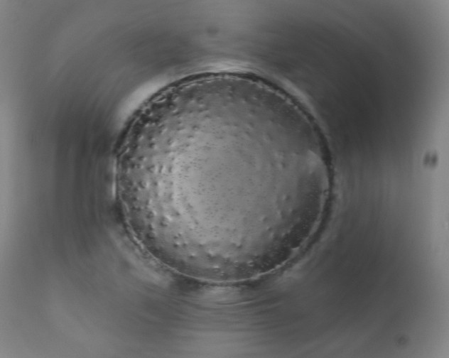 X0000111051171200906251426