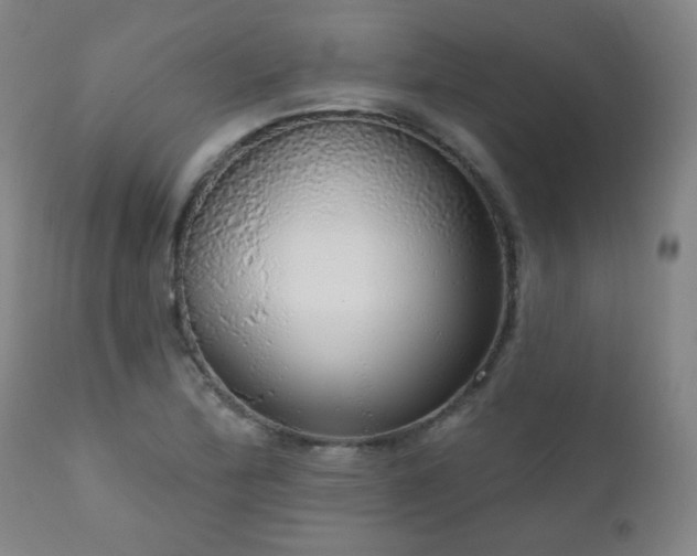 X0000111051172200906251426