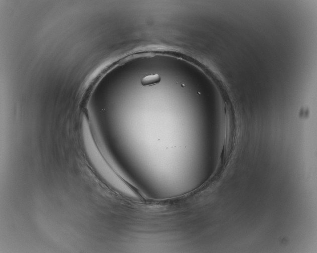 X0000111051173200906251426