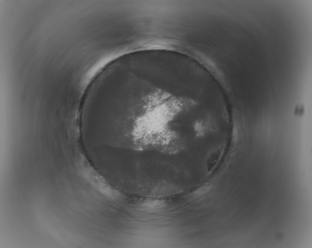 X0000111051174200906251426