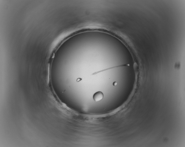 X0000111051175200906251426