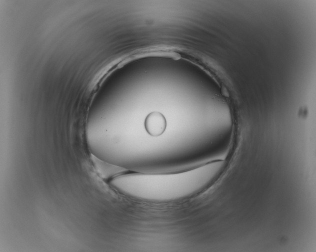 X0000111051177200906251426