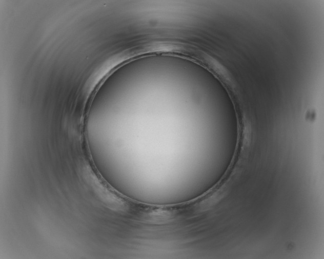 X0000111051178200906251426