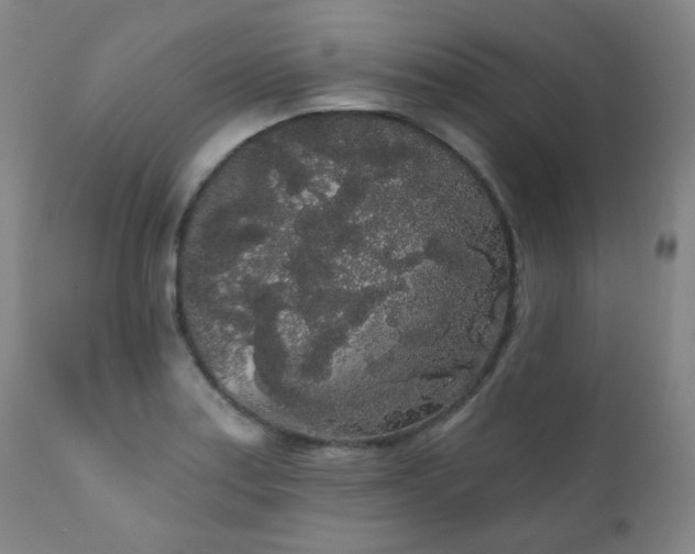 X0000111051179200906251426