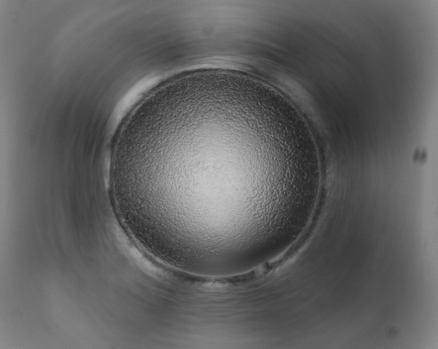 X0000111051180200906251426