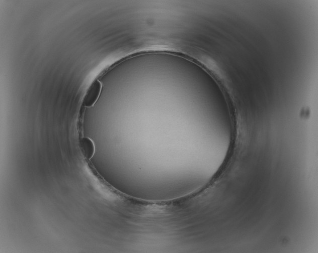 X0000111051181200906251426