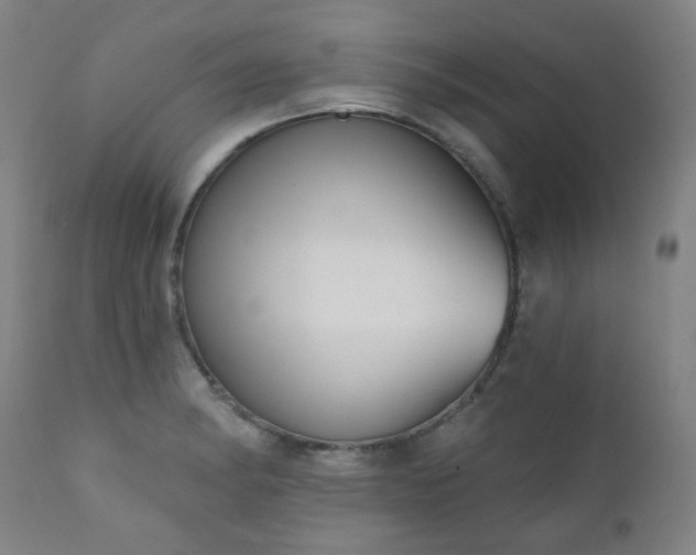 X0000111051182200906251426