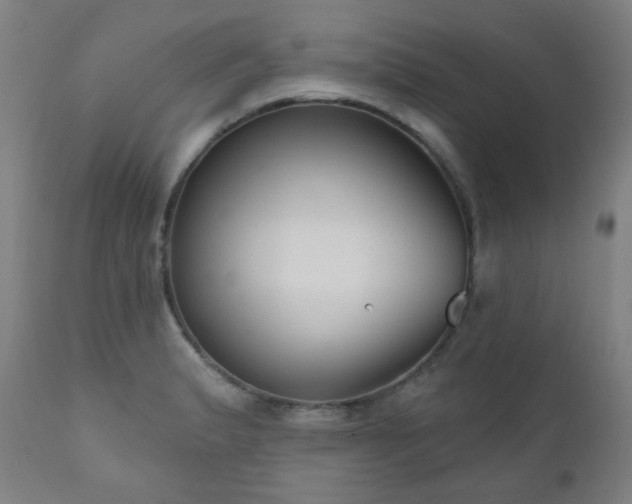 X0000111051183200906251426
