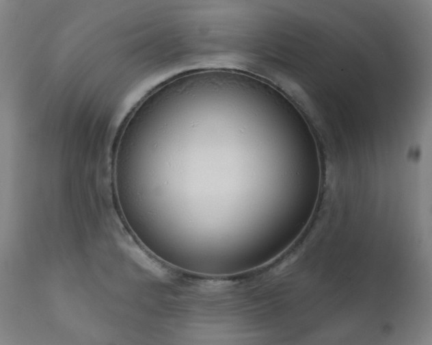 X0000111051184200906251426