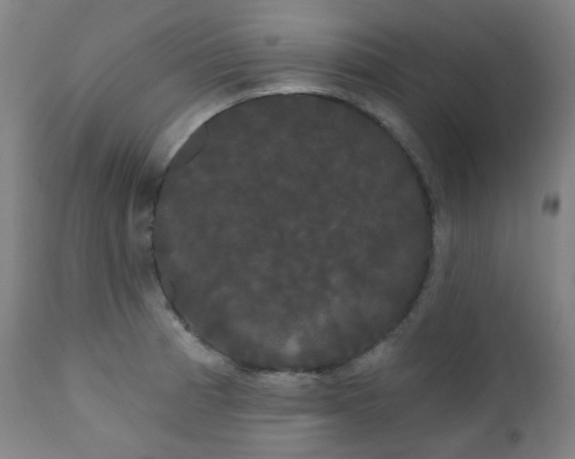 X0000111051185200906251426