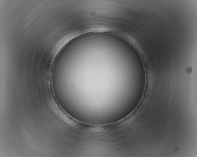 X0000111051186200906251426