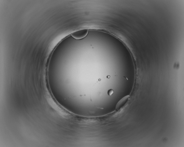 X0000111051187200906251426