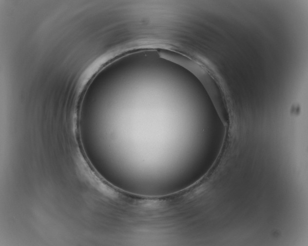 X0000111051188200906251426