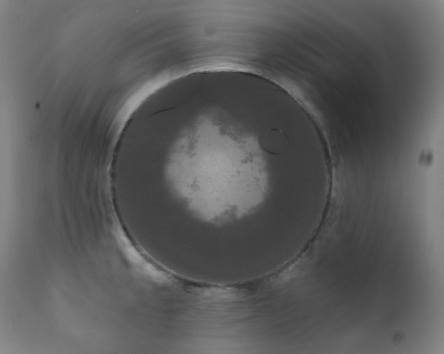 X0000111051189200906251426