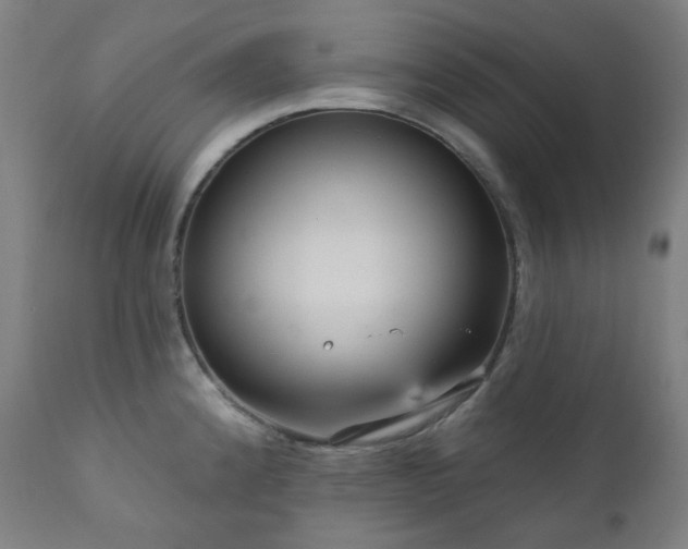 X0000111051192200906251426