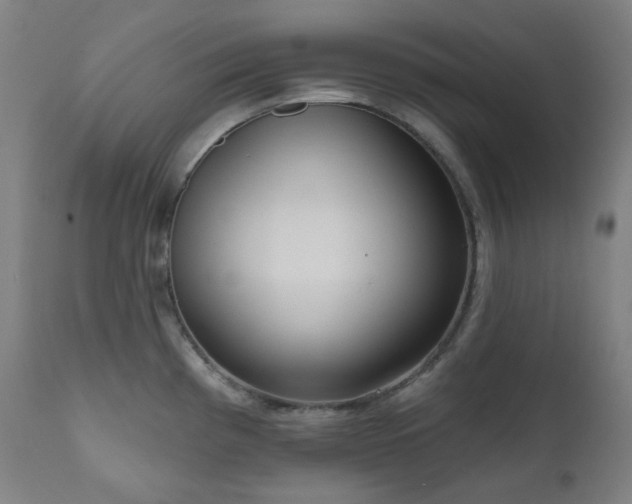X0000111051193200906251426