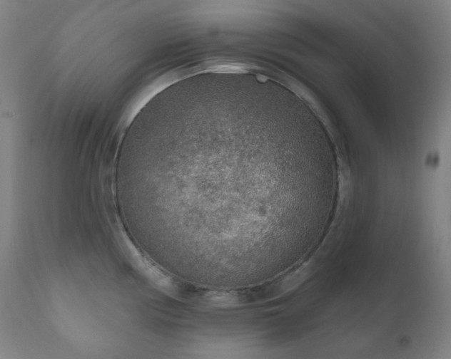 X0000111051194200906251426