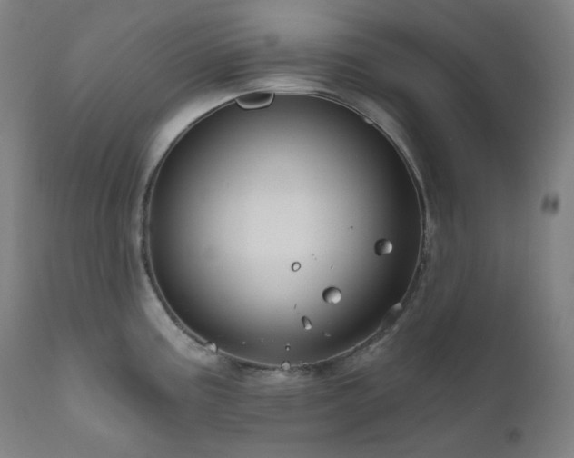 X0000111051195200906251426