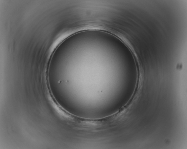 X0000111051197200906251426