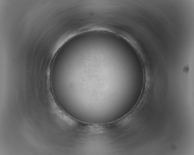 X0000111051198200906251426