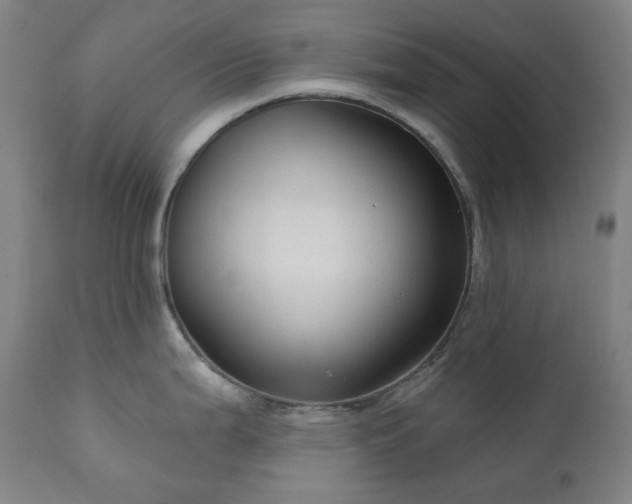 X0000111051199200906251426