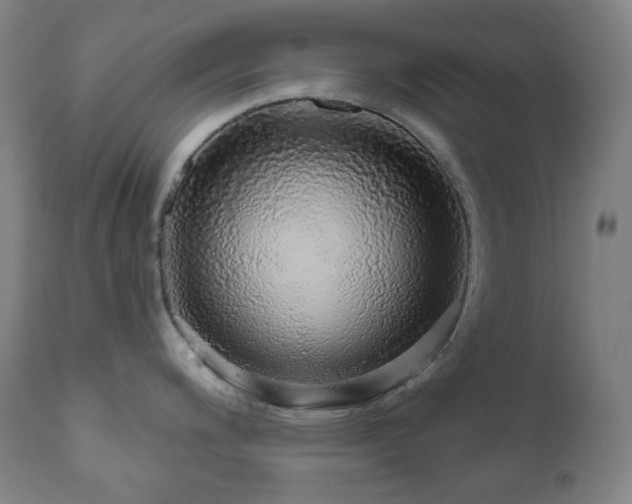 X0000111051200200906251426