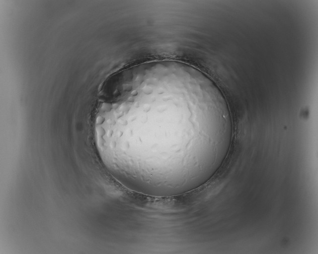 X0000111051201200906251425