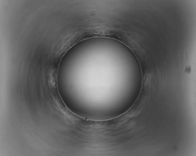 X0000111051202200906251425