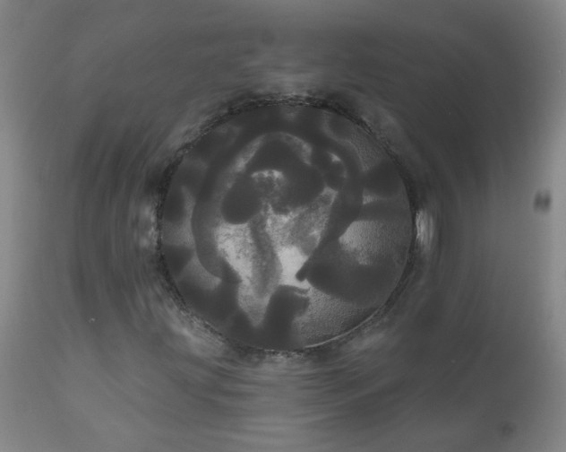 X0000111051203200906251425