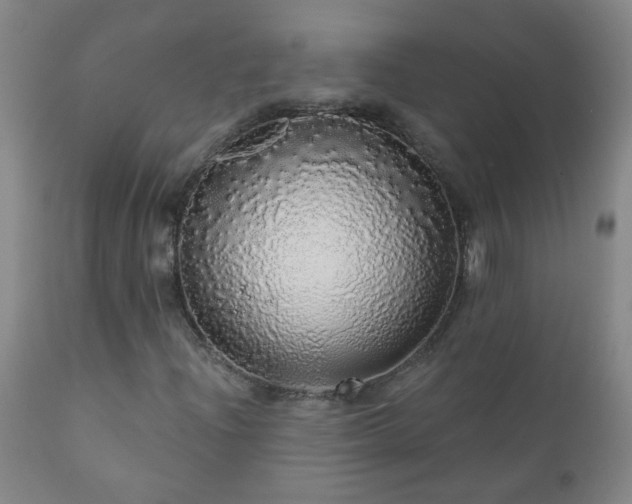 X0000111051204200906251425