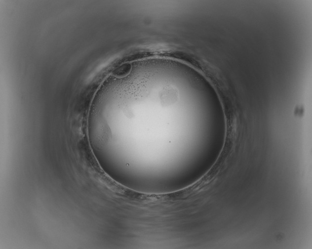 X0000111051205200906251425