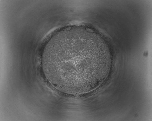 X0000111051206200906251425