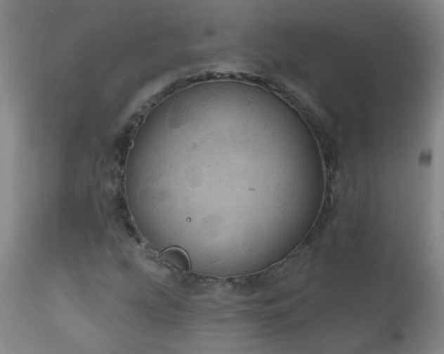 X0000111051207200906251425